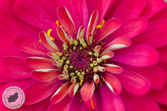 Floral Fragrance Notes