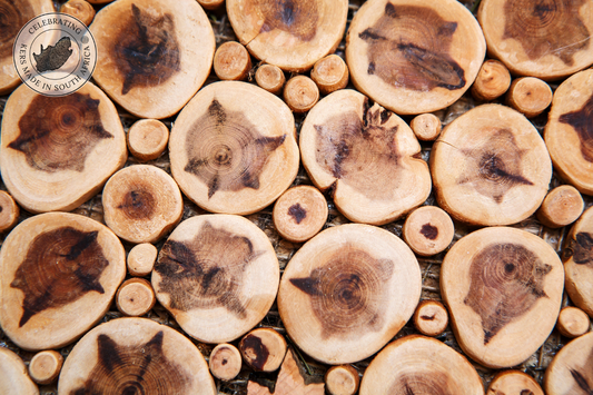 Woody Fragrance Notes