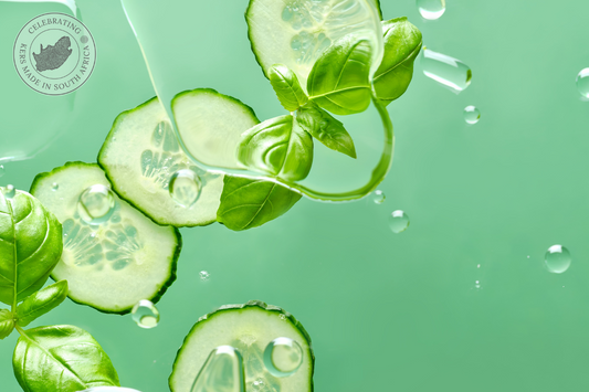 Fresh Fragrance Notes